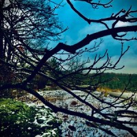 N.S. Ex.1 (sequence on the A minor harmonic scale)_Ht