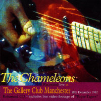 Don't Fall_The Chameleons