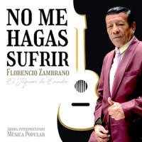 linda_acoustic_guitar_Vm