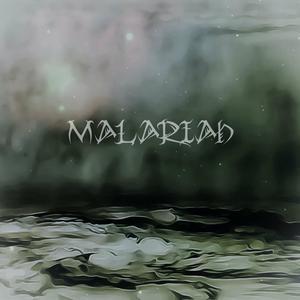 INTO THE APOCALYPSE (INC)