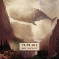 Comets_Cocoon