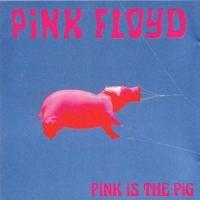 If_Pink Floyd