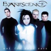 Anything For You_Evanescence