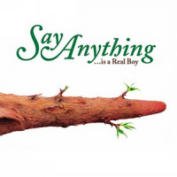 I Want To Know Your Plans_Say Anything