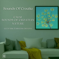 Emotion Of Success_pro_croatian