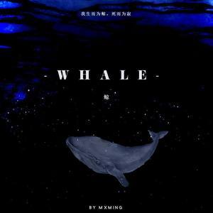 Whale 2