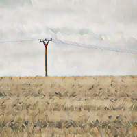 Elektrik_King Crimson