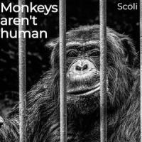 Darkest still_Parkway Drive