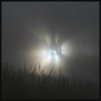 Lamb of the Fold_Clufflebot