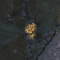 Together We Will Live Forever (Fingerstyle)_Clint Mansell