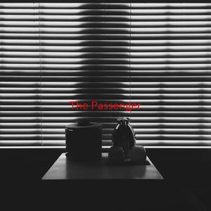 The Passenger