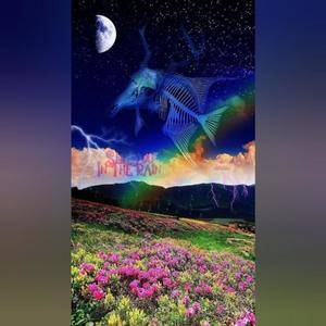 Keep Your Eyes On The Twisted