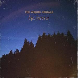 Hammer In Your Shell