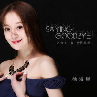 Saying Goodbye_Joe Satriani