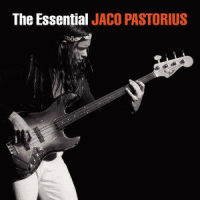 Punk Jazz_Jaco Pastorius