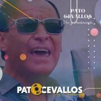 Y No Regresa_Camila