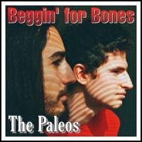 Heavy Riff For Begginers_Ironstone