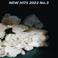 Sanoista Pimeyteen_Horna