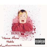 Home Alone_D.A.D.