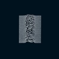 New Dawn Fades_Joy Division