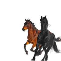 Old town road (metal version)_Lil Nas X