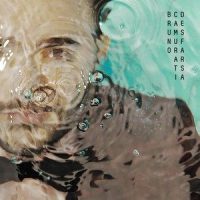 Logical Explanation_Impostor