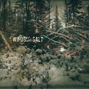 The Wind And The Wheat