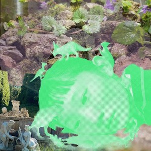 Enter The Swamp