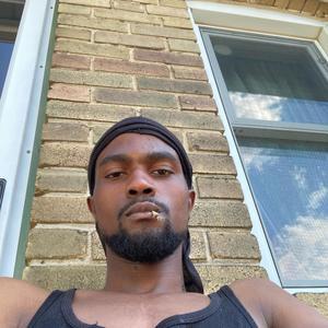 Zakk Wylde Style Quick Licks