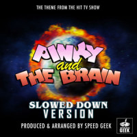 Pinky And The Brain_Cartoons Theme