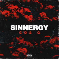 Introduction (Sinnergy)_Slaver