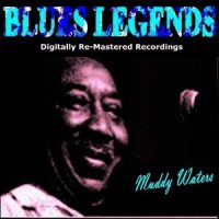 Baby Please Don't Go_Muddy Waters