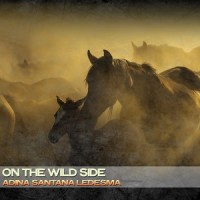 Run and Hide_Ponsproject