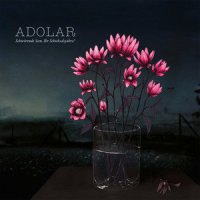 faeuoidh tgiuaersgiuzd iolg_D. Wolfe