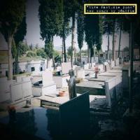 Home Punk_Sonic Death