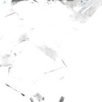 The Time Traveler_Andra & The Backbone