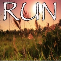 Run (Intro)_Foo Fighters
