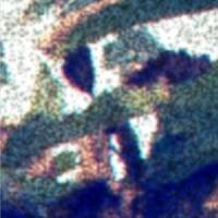 What We Hate_Screeching Weasel