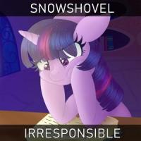 Irresponsible ( For a day or two )_Snowshovel