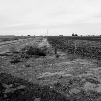 It's Time To Go_Al Pink