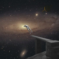 Provider_Days Of The New