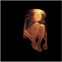Get Born Again_Alice in Chains