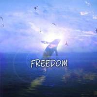 Freedom_Potshot