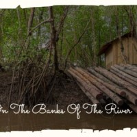 By The Banks Of The River_Reverend Gary Davis