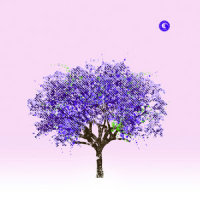 I Like The Way This Is Going_Eels