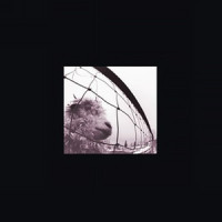 Glorified G_Pearl Jam