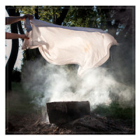 Say Nothing_Pianos Become The Teeth