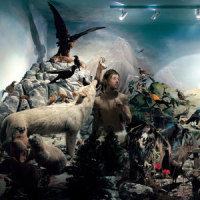 Les Limites_Julien Dore