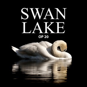 swan lake
