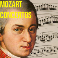 Bassoon Concerto In B Flat, K191 - 3. Rondo - Tempo Di Menuetto_Wolfgang Amadeus Mozart